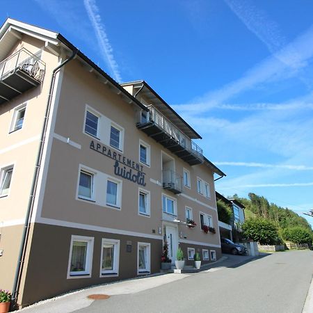 Apartments Luidold Schladming Εξωτερικό φωτογραφία