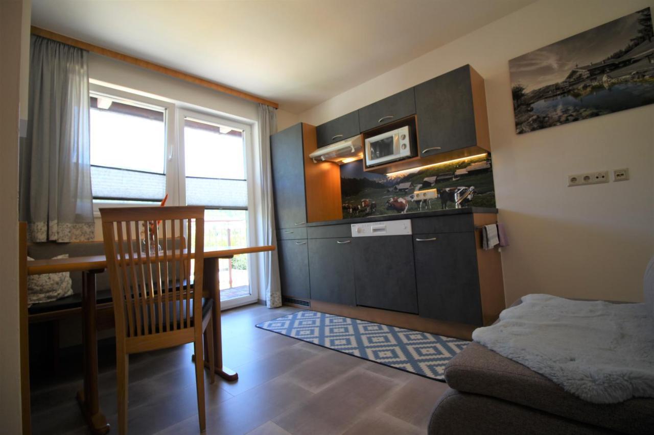 Apartments Luidold Schladming Εξωτερικό φωτογραφία