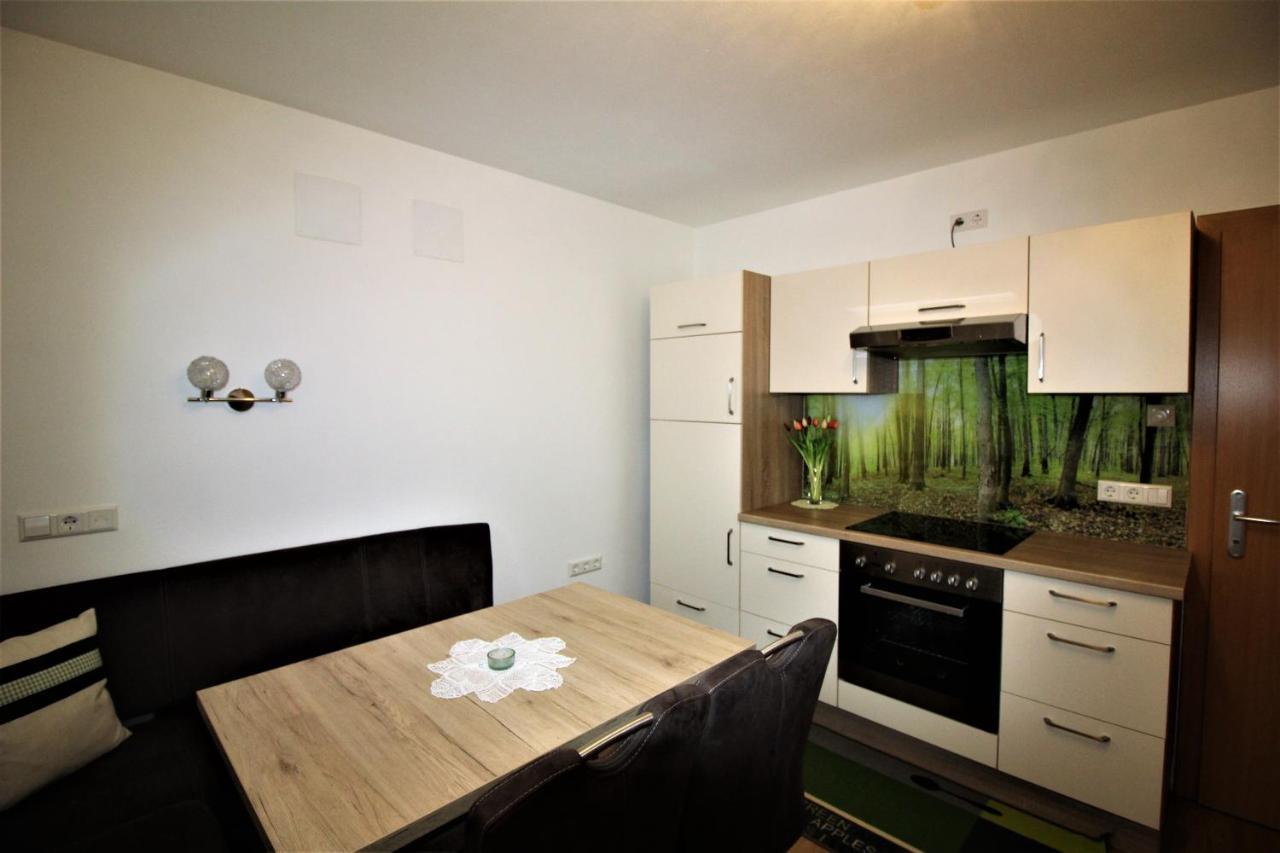 Apartments Luidold Schladming Εξωτερικό φωτογραφία